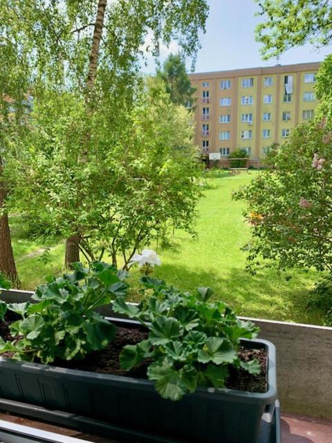 Apartman Snyt Primka Olomouc Ngoại thất bức ảnh